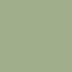 Olive Green Morandi Color Swatch